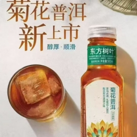 农夫山泉东方树叶菊花普洱茶500ml/瓶