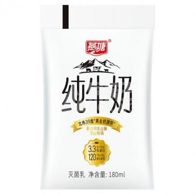 36天-燕塘纯牛奶180ml