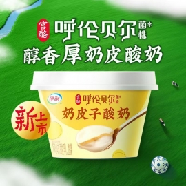 21天-伊利奶皮子138g